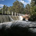 Margaret Weir Photo 32