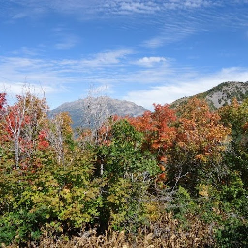 Paula Santiago Photo 7