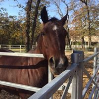Kelly Yarborough Photo 16