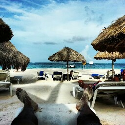 Bryan Wells Photo 32