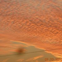 Patsy Spence Photo 15