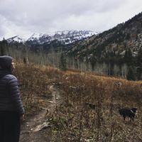 Julie Field Photo 13