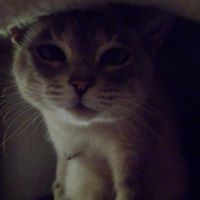 Mary Cummins Photo 11