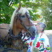 Donna Trapp Photo 28