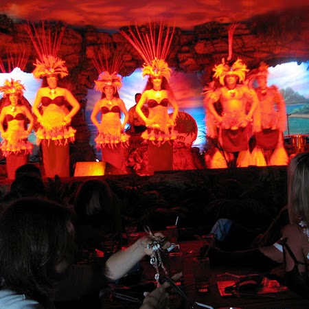 Donna Potter Photo 15