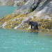 Tracy Bear Photo 33