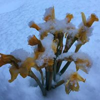 Steve Ackerman Photo 9