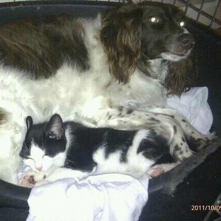 Courtney Dawson Photo 21