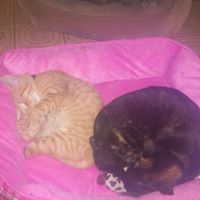 Sherry Stover Photo 24