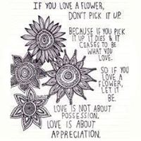 Annabelle Olson Photo 4