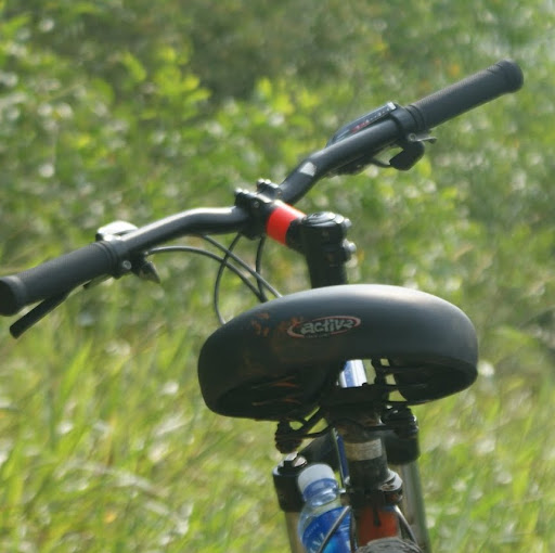 Jin Jiang Photo 9 Jin Jiang Photo 9