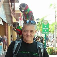 Mark Maxfield Photo 12