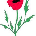 Samantha Witmer Photo 5