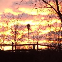 William Swafford Photo 39