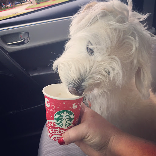 Bridget Jones Photo 11