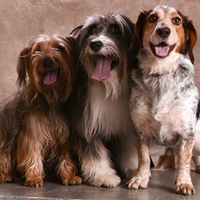 Julie Memmott Photo 6