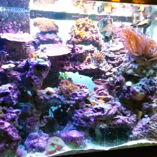 Elisa Moore Photo 37