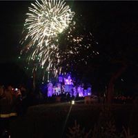 Julie Pippin Photo 16