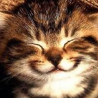 Christian Lang Photo 12