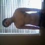 Shaun Anders Photo 16