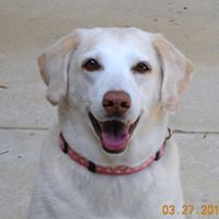 Debbie Darby Photo 23