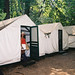 Robin Curry Photo 44