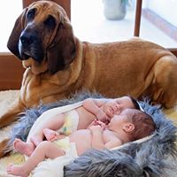 Robert Crews Photo 17