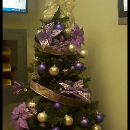 Darlene Collins Photo 39