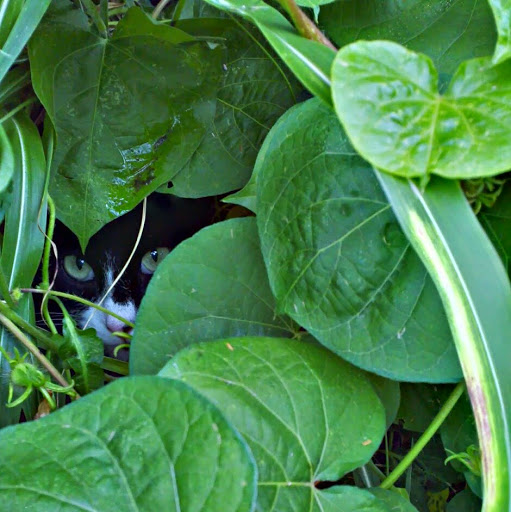 Rebekah Brooks Photo 3 Rebekah Brooks Photo 3