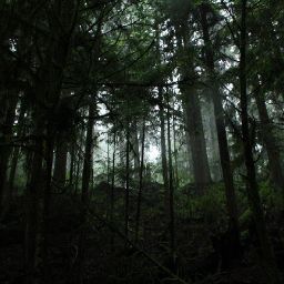 Amy Mitchell Photo 24