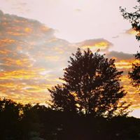 Dawn Stewart Photo 23