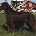Judy Finley Photo 33
