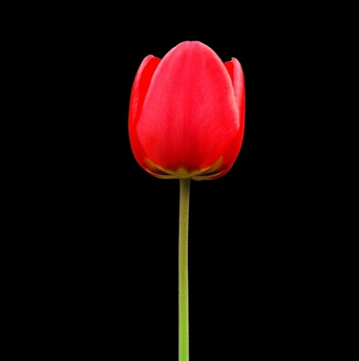 Stephanie Mai Photo 10