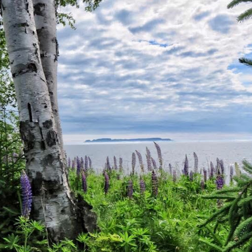 Debbie Murphy Photo 9