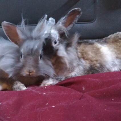 Mike Kemper Photo 23