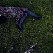 Debbie Blevins Photo 16