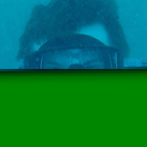 David Kratz Photo 14
