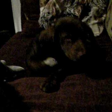 Ellen Simmons Photo 19