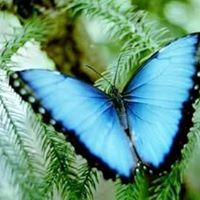 Diane Cowan Photo 15