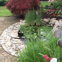 Nancy Prater Photo 13