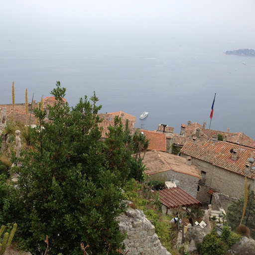 Rhonda Simon Photo 14