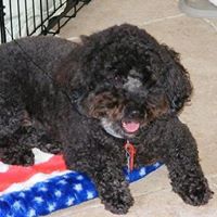 Tyler Walter Photo 13