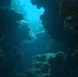 Tanya Foster Photo 19