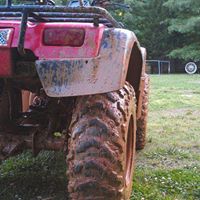 Justin Robins Photo 12