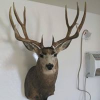 Melissa Holmes Photo 48