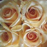 Ann Galloway Photo 24