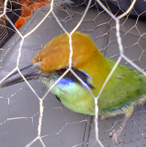 Alberto Perez Photo 33