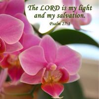 Jacqueline Wyatt Photo 19