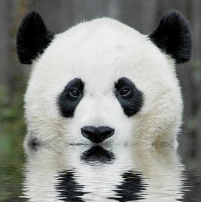 Katherine Roe Photo 31