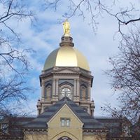 Mark Callahan Photo 46